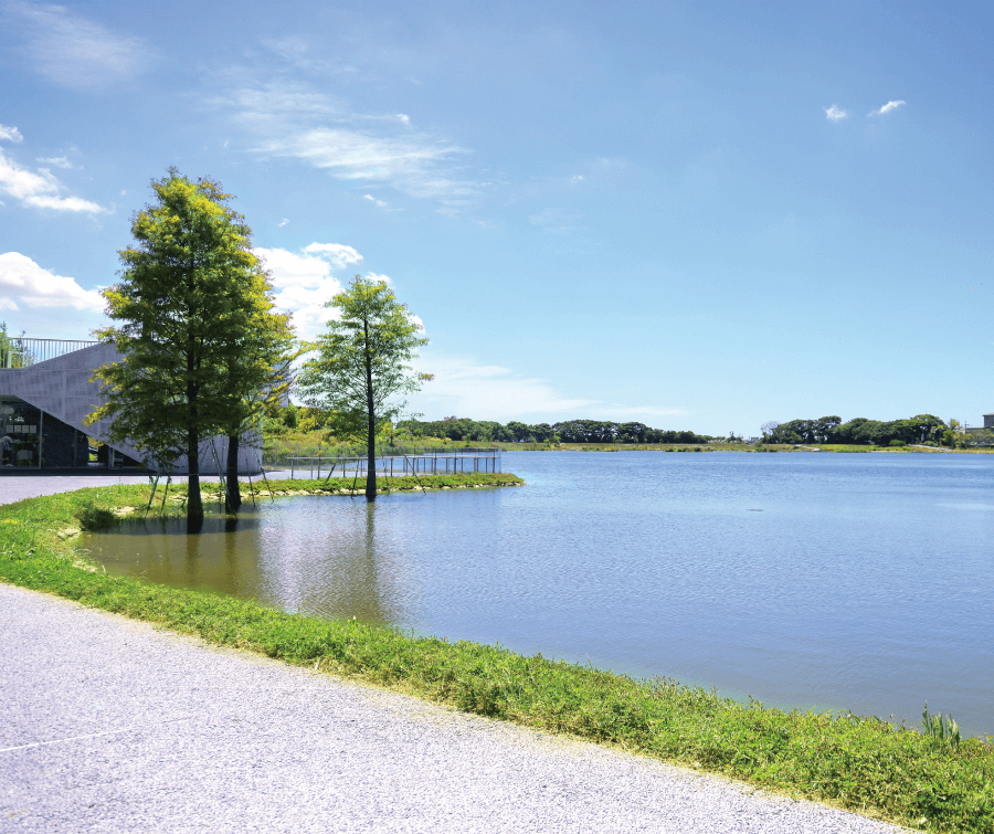 生態埤塘公園情境