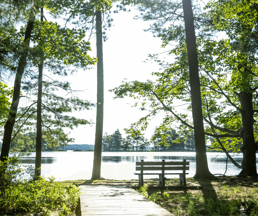 生態埤塘公園情境示意圖