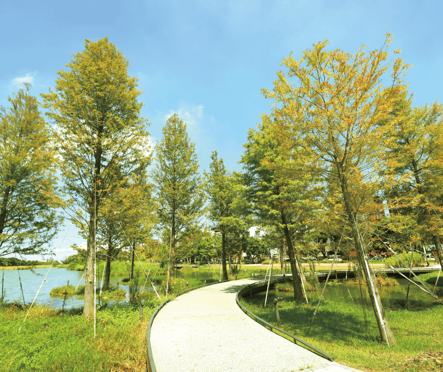 生態埤塘公園情境