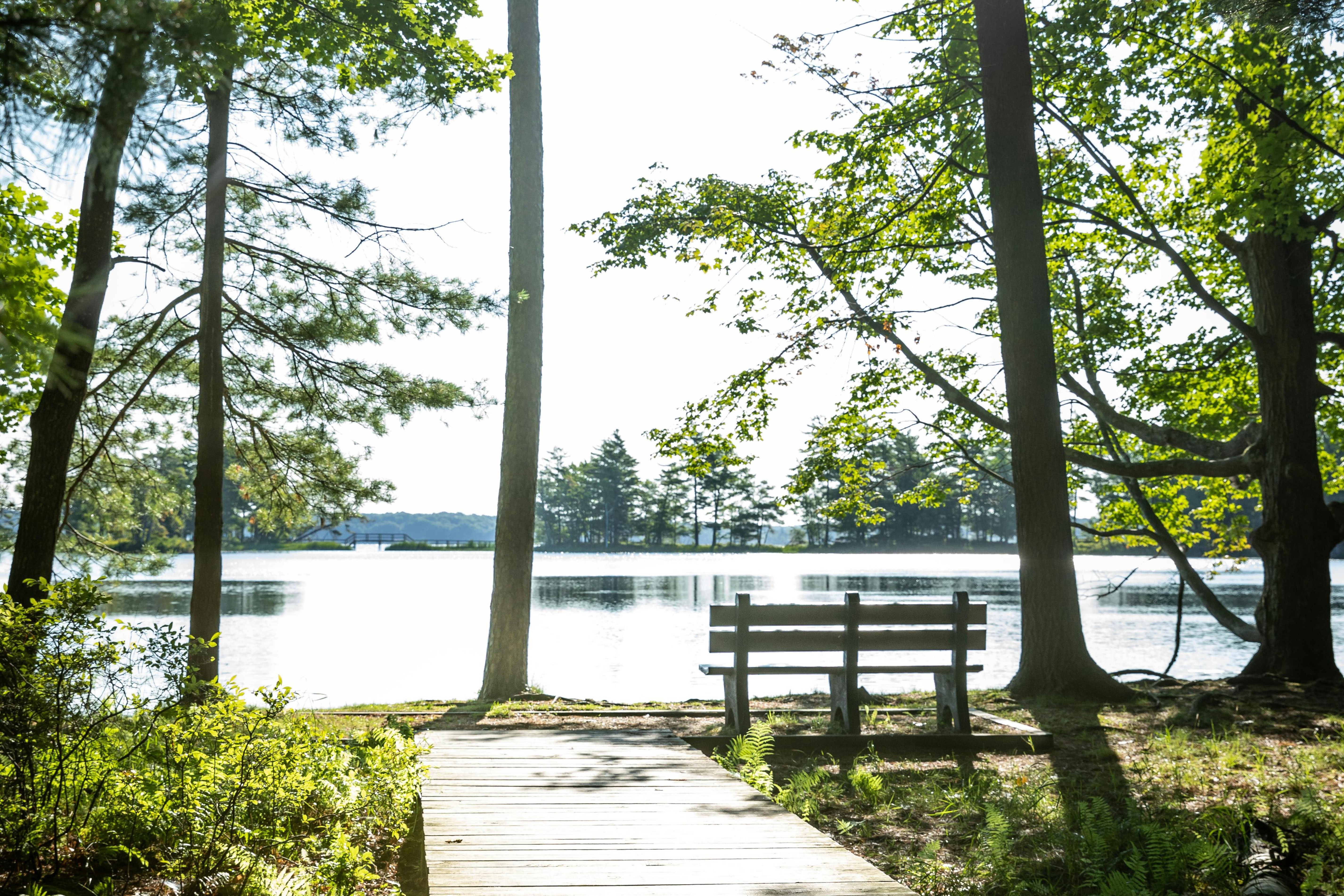 生態埤塘公園情境示意圖