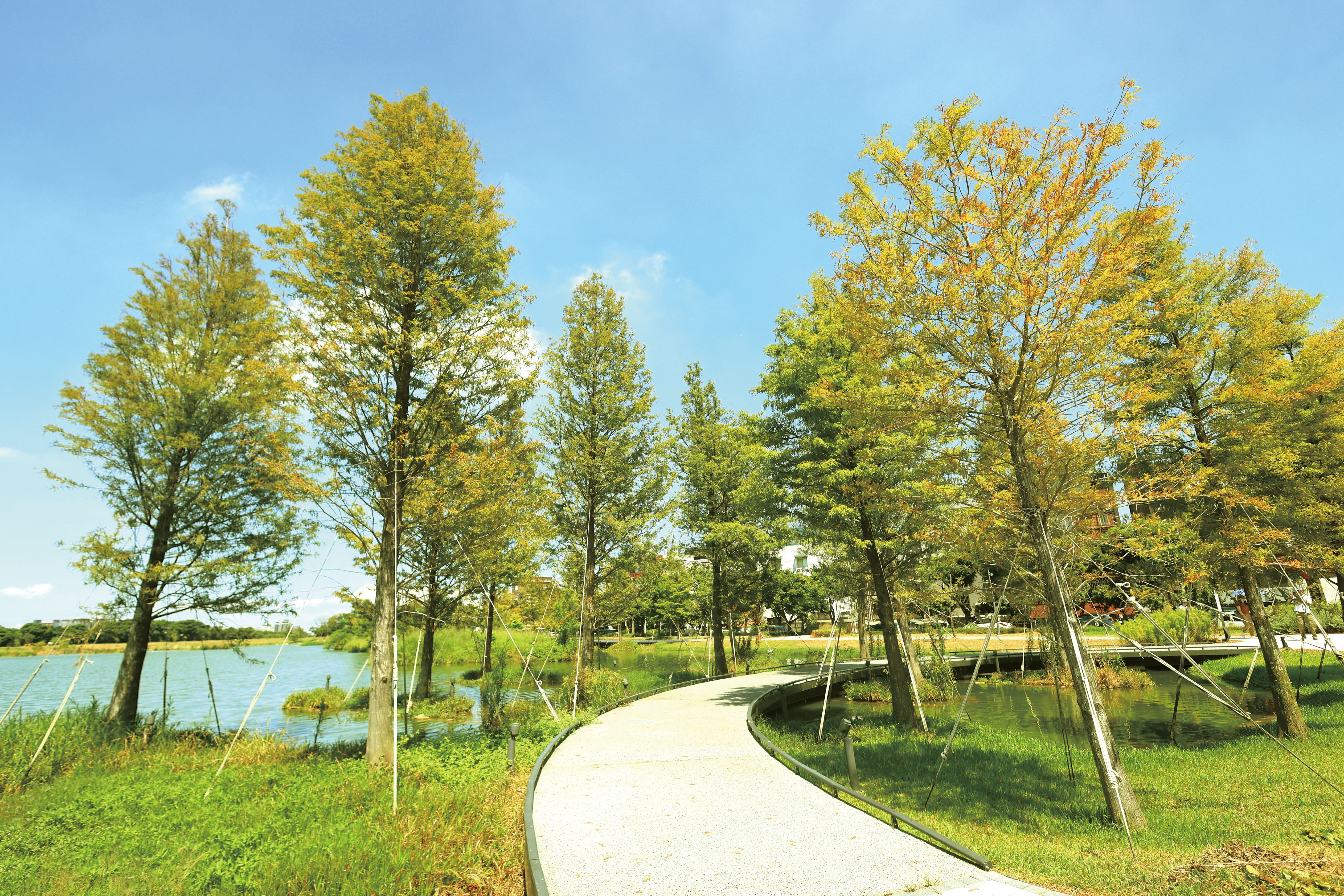 生態埤塘公園情境